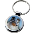 shetland_sheepdog_088-703 